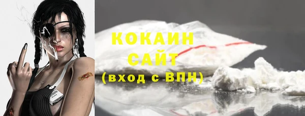 гашик Туринск