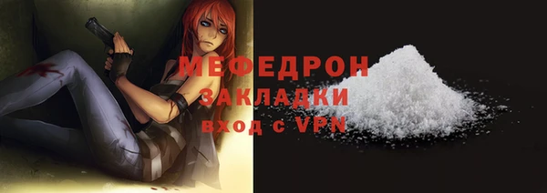 гашик Туринск