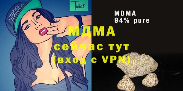 гашик Туринск